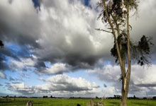 挖墙脚？英媒：纽卡斯尔盯上曼联首席运营官.