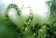 PG娱乐官网：科尔：波波是我生命中最重要的人之一 我今天去看过他&他很好.