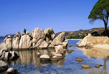 提前获世界杯门票 阿根廷4比1大胜巴西锦上添花.